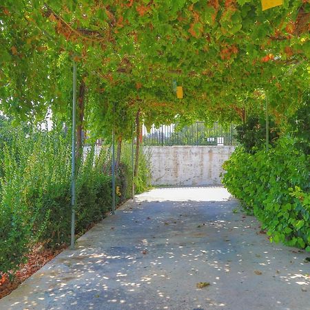 Villa Aphrodite Finiki Polis Eksteriør bilde